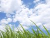 green-grassland-under-sky-photo-025.jpg