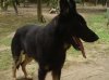 DSC04444.JPG