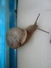 DSC01572.JPG