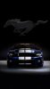 Ford_Mustang5.jpg