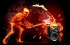 music_desktop_2560x1920_hd-wallpaper-1418049.jpg