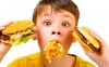nutrition-habbit-and-fat.jpg