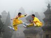 shaolinwushu.jpg