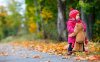 hd-autumn-wallpaper-with-a-child-with-teddybear.jpg