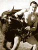 oyama_bull kill.jpg