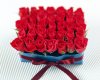 Saint_Valentines_Day_The_buds_of_roses_for_Valentine_s_Day_013175_.jpg