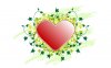 Saint_Valentines_Day_A_beautiful_heart_on_Valentine_s_Day_013132_.jpg