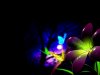3D-graphics_Flower_and_butterflies_in_night_026881_.jpg