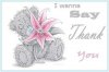 thank_you.jpg