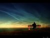 summer-dream_large.jpg