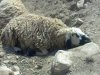 20110819404.jpg