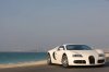 bugatti-veyron-white_18.jpg