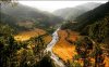 rice-fields03.jpg