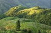rice-fields06_1.jpg