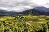 rice-fields07_1.jpg