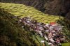 rice-fields10_1.jpg