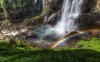 landscapes-trees-forest-grass-rainbows-waterfalls-800x1280.jpg