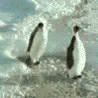 khandehdar.gif