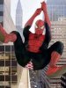 Spider Man.jpg