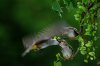 i141156_8th-photocontest-natural-10.jpg