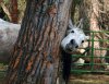 funny-animals-x028.jpg