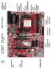 abit am2 NF590 F3.jpg