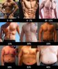 Men's Body Fat Percentage.jpg