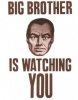 big-brother-is-watching-you1-255x326.jpg