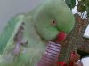 20090710(001).jpg