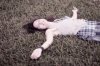 201007161941300046.jpg