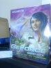 DSC00275_resize.JPG