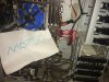 IMG_6732.jpeg