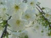 DSC00170.JPG