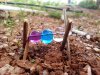 Bubbles_Barbecue_by_OBBARG.jpg