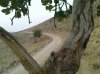 DSC01693 - Copy.JPG