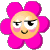 12.gif