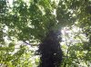 DSC_0145.jpg