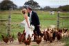allen-farm-wedding-photographer.jpg