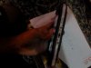 DSC00020.JPG
