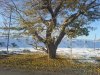 DSC00774.jpg