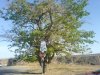 FILE0345.jpg
