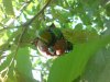 DSC00623.JPG
