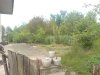 DSC00544.JPG