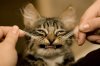 tumblr_m0bmbhYsf11qfcghao1_1280_large.jpg