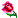 Rose.gif