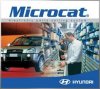 Microcat Hyundai.jpg