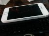 IMG_20150403_184014.jpg