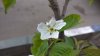 WP_20150416_05_04_33_Pro__highres.jpg