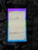 DSCN6076.JPG
