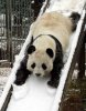 makeyousmile%20(11).jpg
